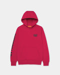 MOLETOM PULLOVER COM CAPUZ MARCA FEMININA